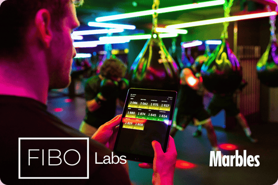 Fibo labs 2